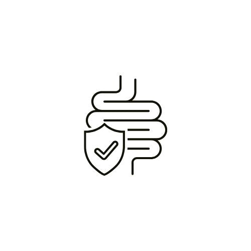 feature-item-4
