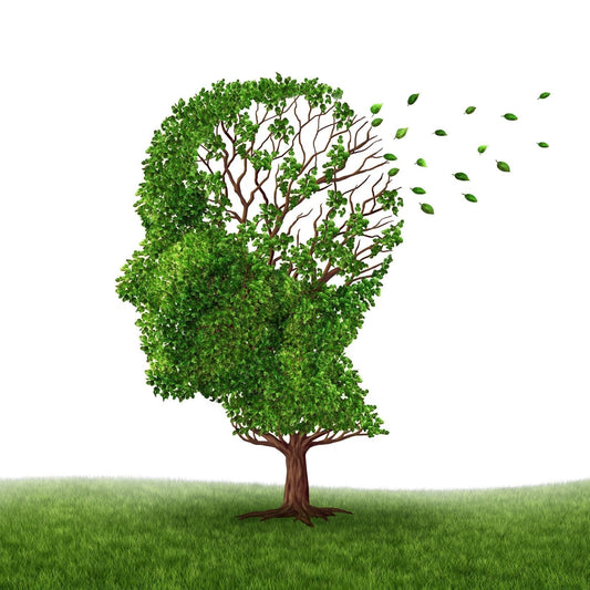Supporting Local Dementia Charities