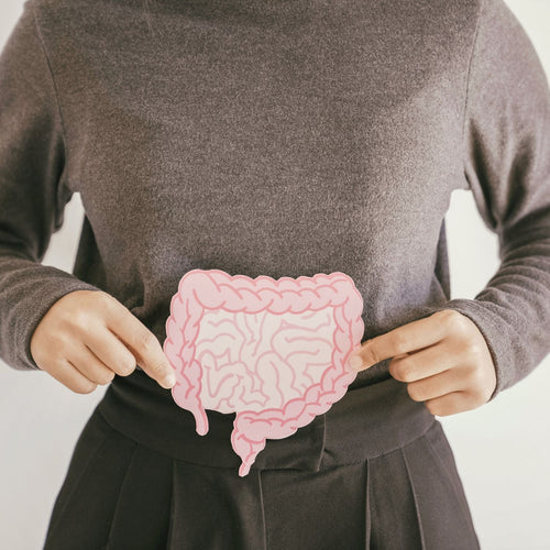 Understanding and Boosting Gut Health: Importance and Tips