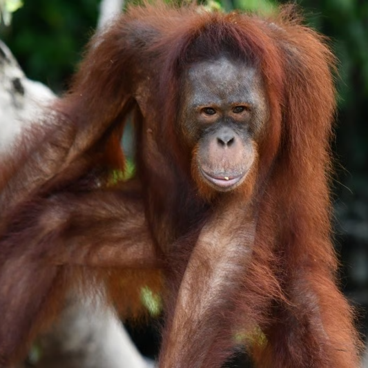 With your help Mema's progress has been possible