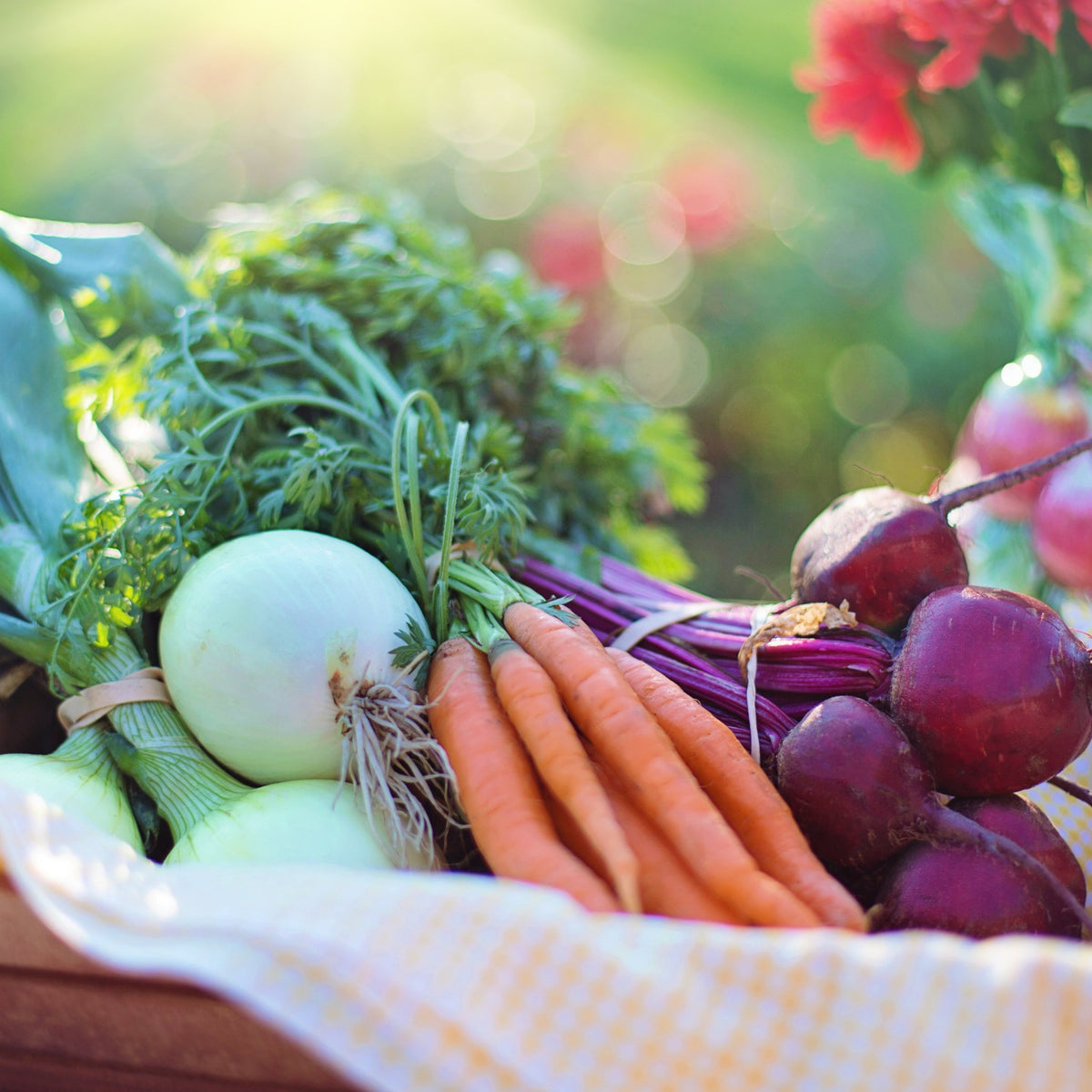 National vegetarian week at SunVit-D3