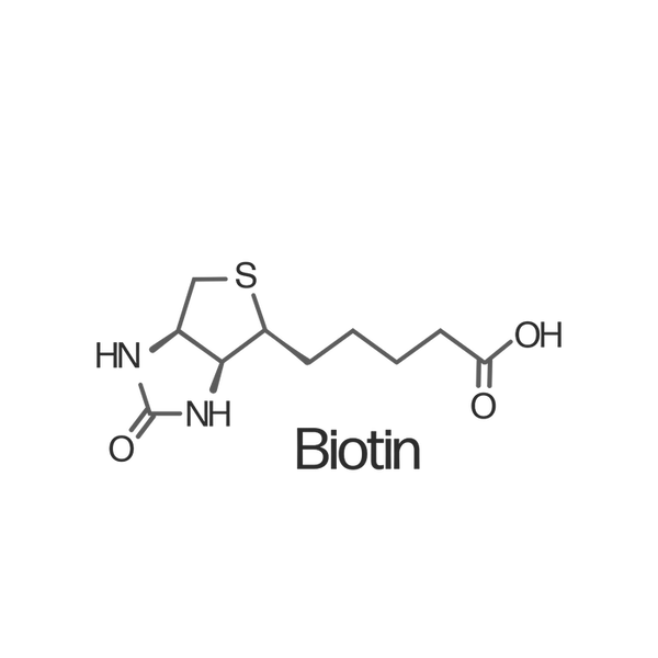 Biotin - Hair Gummies