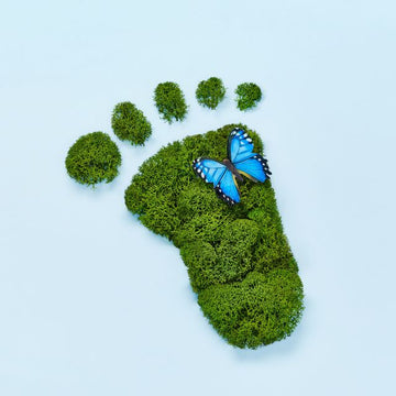 We Want to Make a Difference With Our Carbon Reduction Plan!