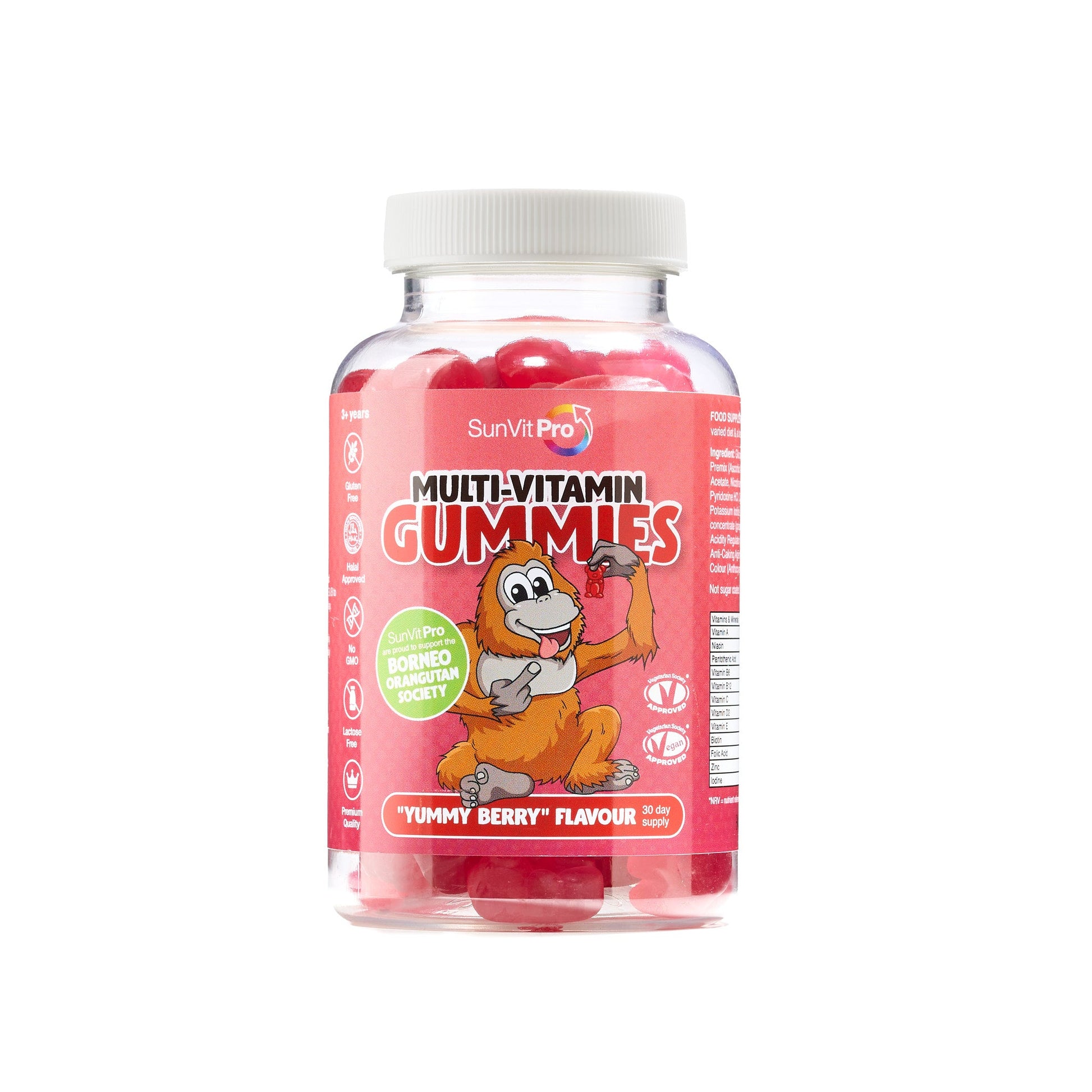 Daily Multivitamin Gummy aged 3+ (Berry Flavoured) 2 gummies daily, contains 12 vitamins - SunVit - D3